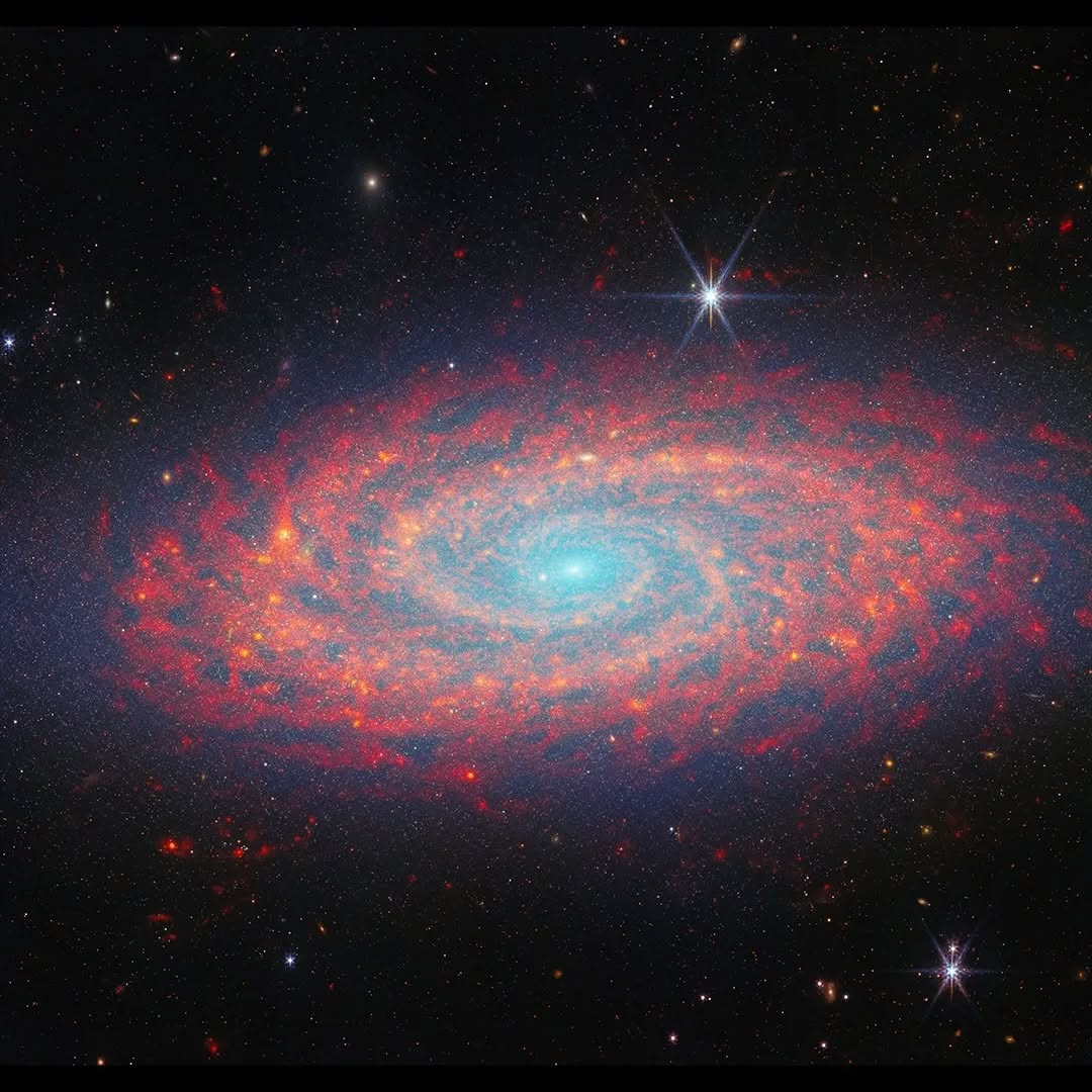 galáxia NGC 2090 capturada pela NASA. A galáxia, localizada a cerca de 100 milhões de anos-luz da Terra, exibe uma estrutura espiral com cores vibrantes, com áreas de formação estelar em tons de azul e roxo, contrastando com o fundo escuro do espaço profundo. O brilho das estrelas jovens e das regiões de gás e poeira é claramente visível, destacando a complexidade e beleza da galáxia.