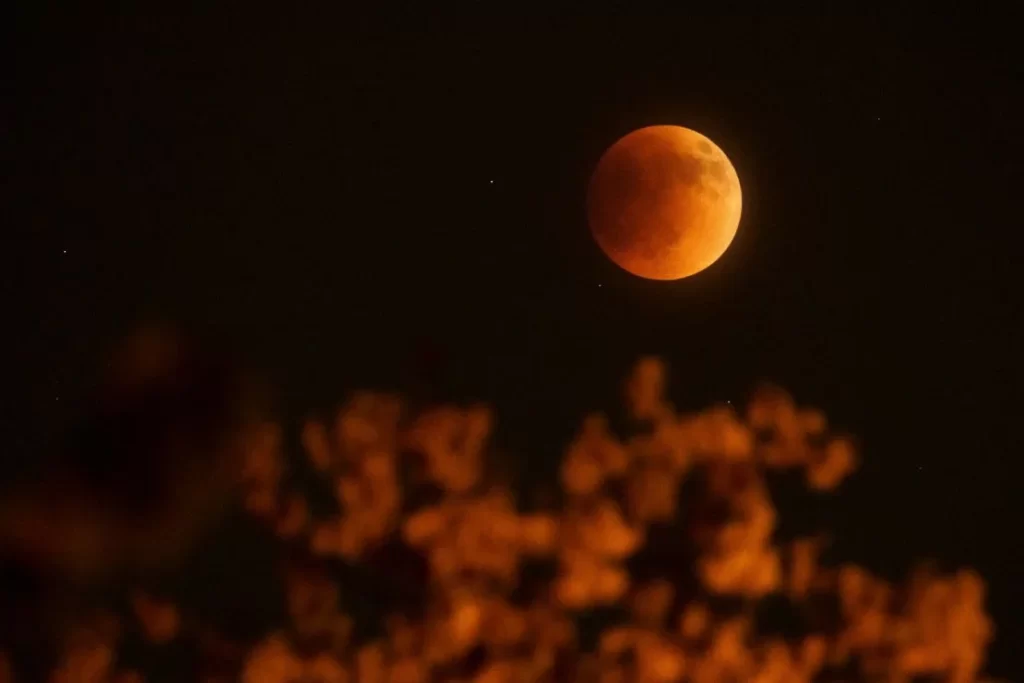 eclipse lunar total, conhecido como Lua de Sangue. A Lua avermelhada aparece no céu, vista entre os galhos de uma árvore com folhas, criando um enquadramento natural. O contraste entre a escuridão dos galhos e o brilho avermelhado da Lua destaca a beleza do fenômeno.