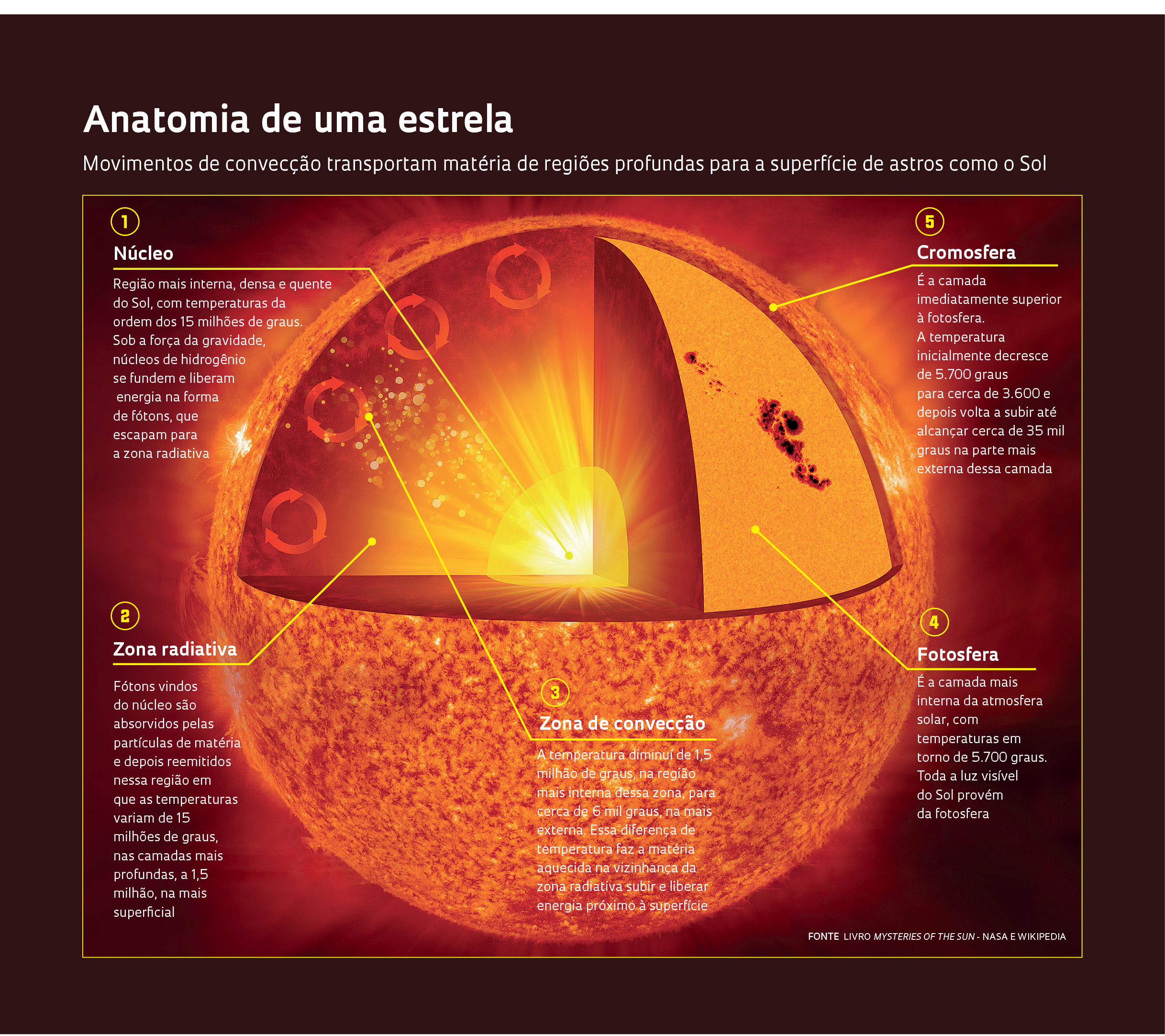 Diagrama estruturado do Sol mostrando suas camadas internas e externas: núcleo no centro, zona radiativa, zona convectiva, fotosfera, cromosfera e a coroa solar se estendendo para o espaço