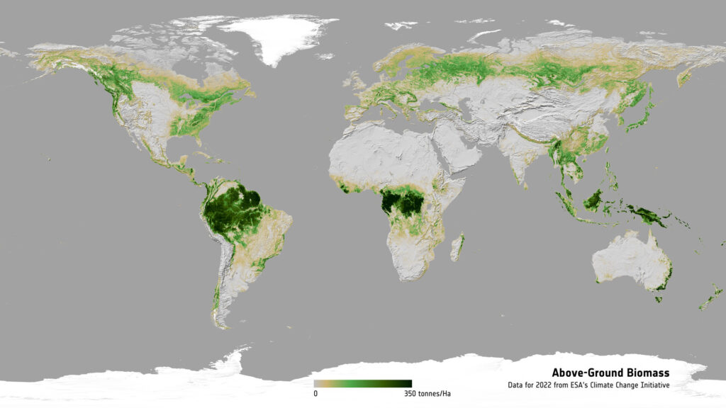 Mapa-múndi em tons de cinza, destacando áreas de florestas em verde. A imagem mostra a distribuição global da biomassa florestal acima do solo em 2022, destacando as regiões com maior concentração de vegetação, como as florestas tropicais.