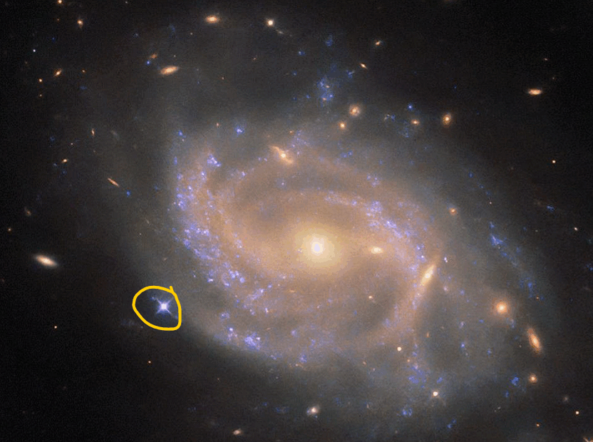 Uma galáxia espiral com um disco formado por vários braços giratórios. Nuvens irregulares de gás azul estão espalhadas pelo disco, onde estrelas se formam e iluminam o gás ao redor. O núcleo da galáxia é grande e brilha em dourado intenso, enquanto os braços espirais têm uma cor avermelhada mais pálida e tênue. Galáxias vizinhas — desde pequenas manchas alongadas até outras espirais maiores — aparecem sobre o fundo preto do espaço. A supernova, chamada SN 2023xqm, é visível como um ponto azulado na borda esquerda do disco da galáxia.