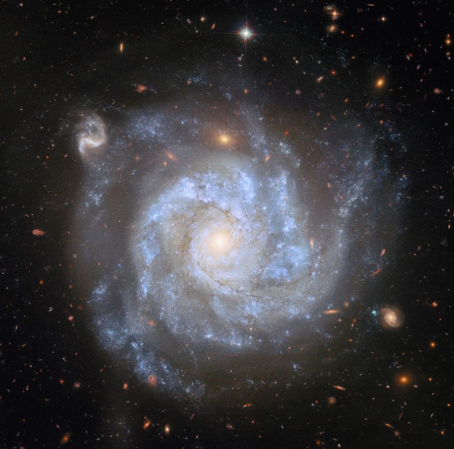 Uma visão de cima de uma galáxia NGC 1309 espiral, mostrando seu centro brilhante, seus amplos braços espirais e o halo tênue ao redor de seu disco, além de galáxias e estrelas distantes sobre um fundo escuro. Grandes nuvens azuis de gás, salpicadas com pequenas estrelas e fios de poeira escura, giram ao redor do disco da galáxia. Algumas das galáxias ao fundo são grandes o suficiente para que seus próprios braços espirais giratórios sejam visíveis.