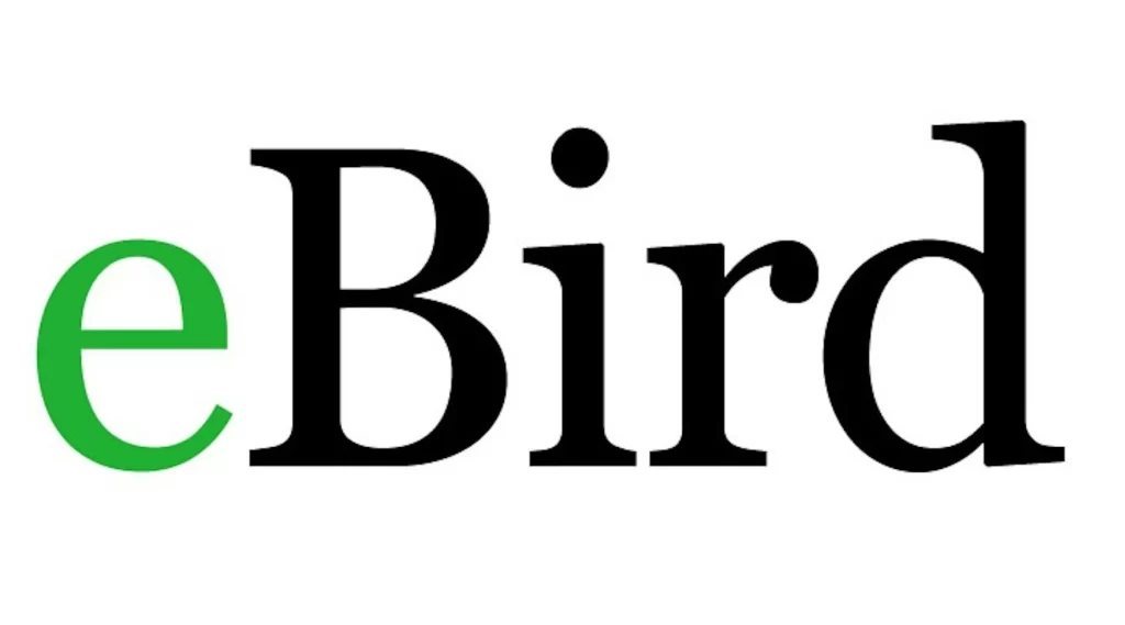Logotipo eBird