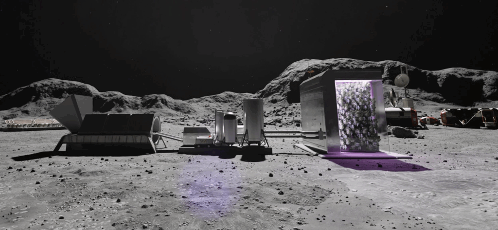 Ilustração mostra uma base lunar equipada com uma estufa retangular iluminada por luz ultravioleta, onde alfaces e outras plantas são cultivadas em ambiente controlado. A paisagem cinzenta da Lua contrasta com o brilho verde das folhas. Crédito: ESA.