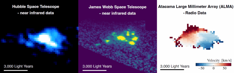 As &ldquo;Uvas C&oacute;smicas&rdquo; apareceram inicialmente em dados anteriores do Telesc&oacute;pio Espacial Hubble (&agrave; esquerda) como uma gal&aacute;xia t&iacute;pica, com um disco estelar suave. No entanto, observa&ccedil;&otilde;es de acompanhamento em alta resolu&ccedil;&atilde;o feitas pelo James Webb (centro) e pelo ALMA (&agrave; direita) revelaram que ela &eacute; composta por in&uacute;meros aglomerados estelares compactos embutidos em um disco de g&aacute;s liso e em rota&ccedil;&atilde;o. As cores vermelha e azul no painel da direita representam os movimentos do g&aacute;s em desvio para o vermelho e para o azul, respectivamente, rastreando a rota&ccedil;&atilde;o do disco.
Cr&eacute;dito: Dados de instrumentos espec&iacute;ficos, montagem por NSF/AUI/NSF NRAO/B. Saxton
