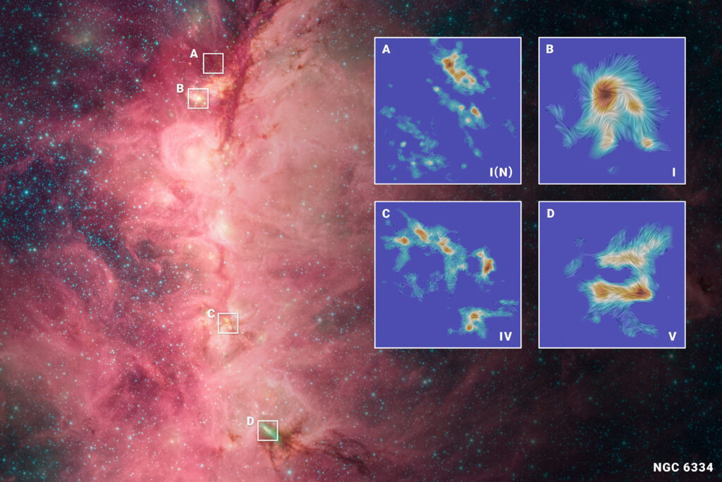 Esta imagem do Telescópio Espacial Spitzer, da NASA, mostra uma região de formação estelar na nuvem molecular NGC 6334, também conhecida como Nebulosa da Pata do Gato. As cores correspondem às emissões em 3,6 micrômetros (azul), 4,5 micrômetros (verde) e 8 micrômetros (vermelho).
Essa nuvem está ativamente formando estrelas massivas e localiza-se na constelação de Escorpião, a uma distância entre 4.200 e 5.500 anos-luz da Terra.
Os dados do ALMA, sobrepostos à imagem, mostram detalhes de quatro regiões específicas observadas (NGC6334I, NGC6334I(N), NGC6334IV e NGC6334V), revelando as forças invisíveis do magnetismo e da gravidade que se entrelaçam e moldam a formação das estrelas no interior dessa gigantesca nuvem molecular.
A escala de cores nas imagens do ALMA representa a intensidade da emissão de poeira em 1,3 mm, enquanto as linhas em forma de véu indicam a orientação do campo magnético.
📸 Crédito da imagem composta: fundo – NASA/JPL-Caltech; sobreposição – ESO/NAOJ/NSF NRAO; imagem criada por NSF/AUI/NSF NRAO/M. Weiss.
