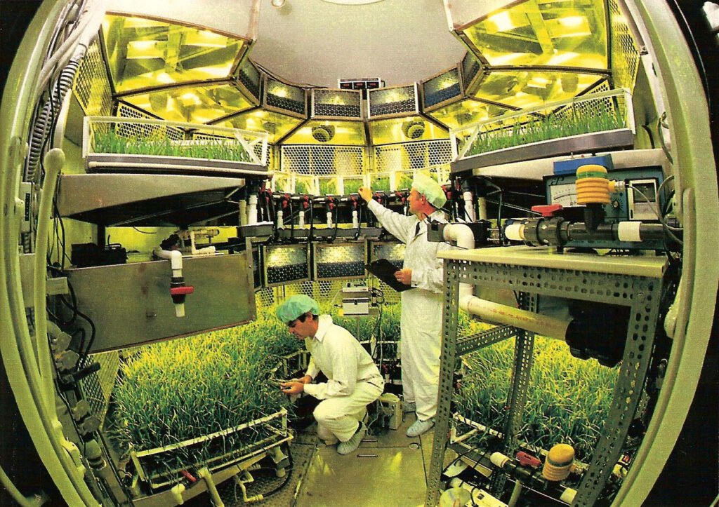 O interior da Câmara de Produção de Biomassa, no Centro Espacial Kennedy, reproduzia o ambiente de cultivo fechado que astronautas usarão no espaço ou em outros planetas para cultivar alimentos frescos. Como a primeira fazenda vertical em ambiente controlado dos Estados Unidos, a câmara ajudou a NASA a fornecer dados essenciais para a indústria de agricultura em ambientes internos. Na imagem, os cientistas da NASA Bill Knott (à esquerda) e Tom Dreschel examinam o crescimento das plantas. Créditos: NASA