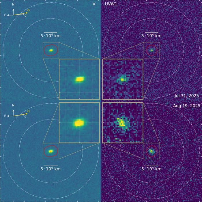 "O Telescópio Ultravioleta/Óptico Swift (UVOT) da NASA observou o cometa interestelar 3I/ATLAS durante duas visitas realizadas em julho e agosto de 2025. Os painéis mostram imagens em luz visível (à esquerda) e ultravioleta (à direita), nas quais o brilho tênue do hidroxila (OH) revela o vapor d’água escapando do cometa.
Crédito: Dennis Bodewits, Universidade de Auburn.
