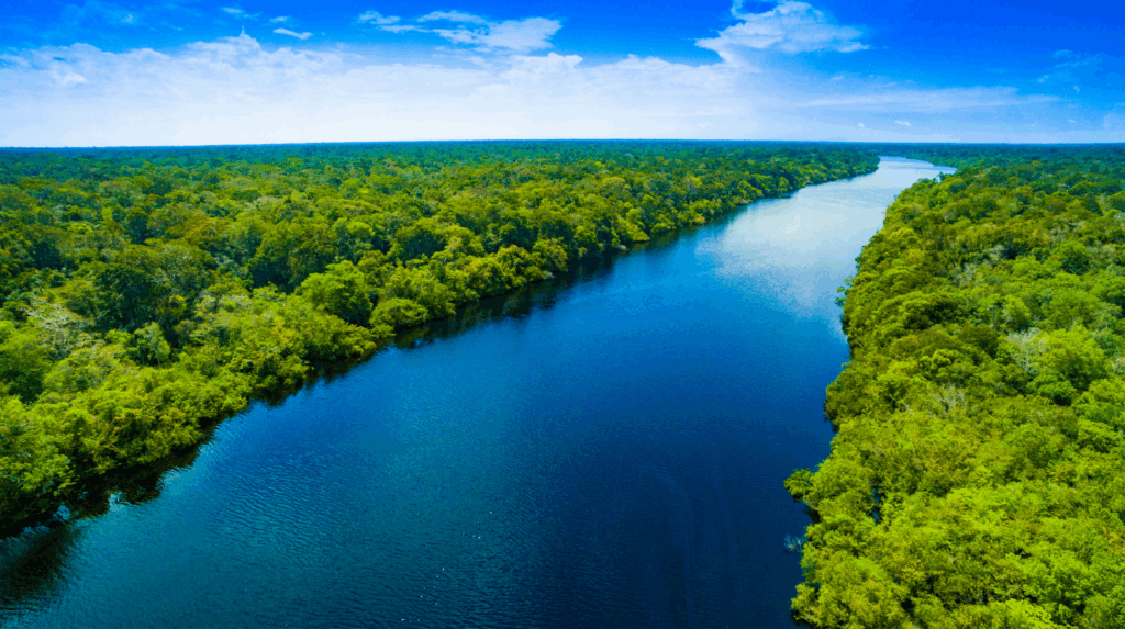 Vista aérea do Rio Amazonas sob um céu azul intenso, com suas margens repletas de árvores tropicais e águas refletindo o sol da tarde — símbolo da grandiosidade e vitalidade da floresta.