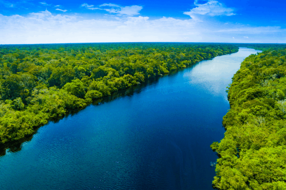Vista aérea do Rio Amazonas sob um céu azul intenso, com suas margens repletas de árvores tropicais e águas refletindo o sol da tarde — símbolo da grandiosidade e vitalidade da floresta.