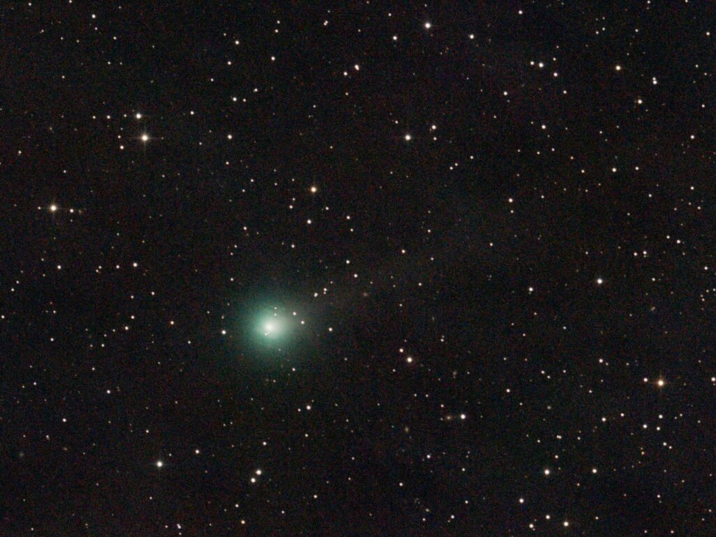 Fotografia do cometa Lemmon (C/2025 A6) no céu noturno, mostrando uma coma verde brilhante e uma cauda iônica fraca, capturados com longa exposição sob um campo estrelado.