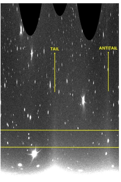 Projeção polar do Cometa C/2025 R2 (SWAN) a partir da imagem de 18 de novembro de 2025 (Fig. 2), com cortes fotométricos desenhados, obtida pelo telescópio de 0,4 m da Stazione Astronomica di Sozzago, Itália. Crédito: Stazione Astronomica di Sozzago.