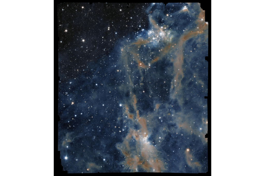 O foco da imagem é uma parte da LDN 1641, uma nebulosa interestelar localizada na constelação de Órion. Nesta visão, um fundo preto profundo é salpicado por uma infinidade de pontos (estrelas) de diferentes tamanhos e tons de branco brilhante. Atravessando esse mar de estrelas, uma teia de filamentos e faixas difusas em variados tons de laranja e marrom se eleva da parte inferior da imagem em direção ao canto superior direito, como finas espirais de fumaça.