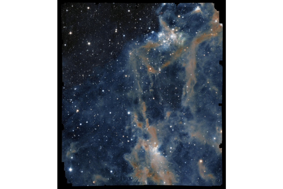 O foco da imagem é uma parte da LDN 1641, uma nebulosa interestelar localizada na constelação de Órion. Nesta visão, um fundo preto profundo é salpicado por uma infinidade de pontos (estrelas) de diferentes tamanhos e tons de branco brilhante. Atravessando esse mar de estrelas, uma teia de filamentos e faixas difusas em variados tons de laranja e marrom se eleva da parte inferior da imagem em direção ao canto superior direito, como finas espirais de fumaça.