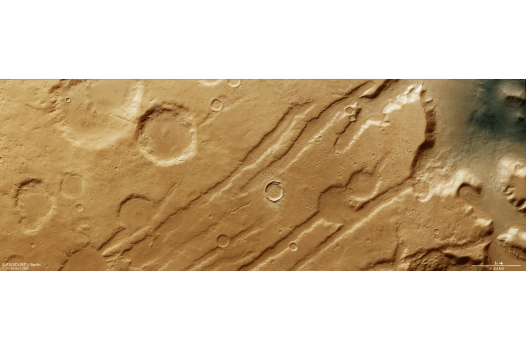 Descrição da imagem: Uma seção da superfície de Marte em tons de marrom claro e bege. Ela apresenta várias grandes crateras circulares espalhadas pelo terreno, junto com longas cristas paralelas que se estendem diagonalmente do canto inferior esquerdo ao superior direito. As cristas parecem elevadas e irregulares, enquanto as crateras são profundas e arredondadas. A textura geral parece áspera e desigual, sugerindo erosão e antiga atividade geológica.
Crédito: ESA/DLR/FU Berlin