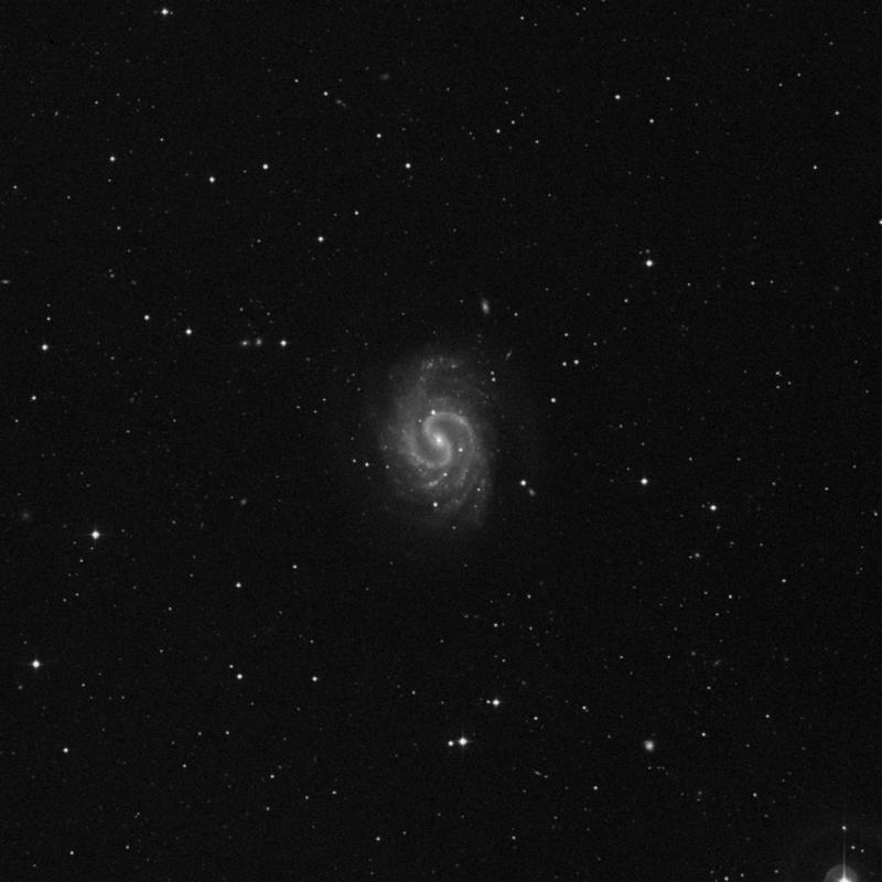 Imagem SS2 de NGC 4535 no filtro vermelho, mostrando a galáxia espiral com destaque para as regiões mais brilhantes. Sobre a imagem, há um contorno verde representando os eixos maior (8,15 arcmin) e menor (7,48 arcmin) do tamanho aparente do objeto. Crédito: TheSkyLive.com.