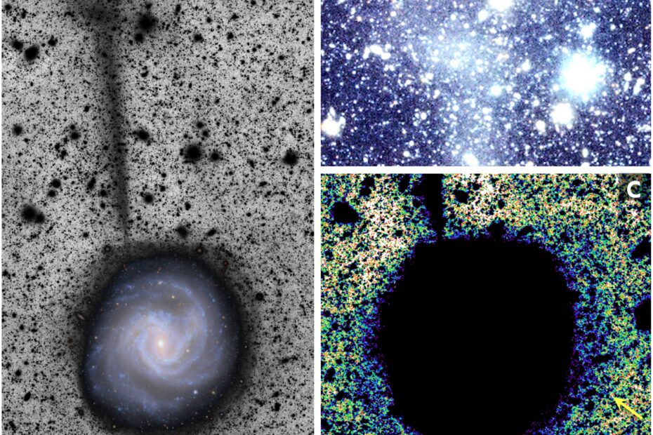 Figura 1. M61 observada pelo Observatório Vera C. Rubin. (a): Um fluxo estelar de 50 kiloparsecs se estende para o norte. (b): Ampliação da extremidade norte da pluma, mostrando uma estrutura complexa. (c): Ajuste de contraste da imagem destacando feições de baixo brilho superficial. As plumas aparentes a aproximadamente 20–30 kpc na periferia do disco (indicadas por setas) ainda precisam ser confirmadas com o conjunto completo de dados. Créditos da imagem: Rubin Observatory / NOIRLab / SLAC / NSF / DOE / AURA.