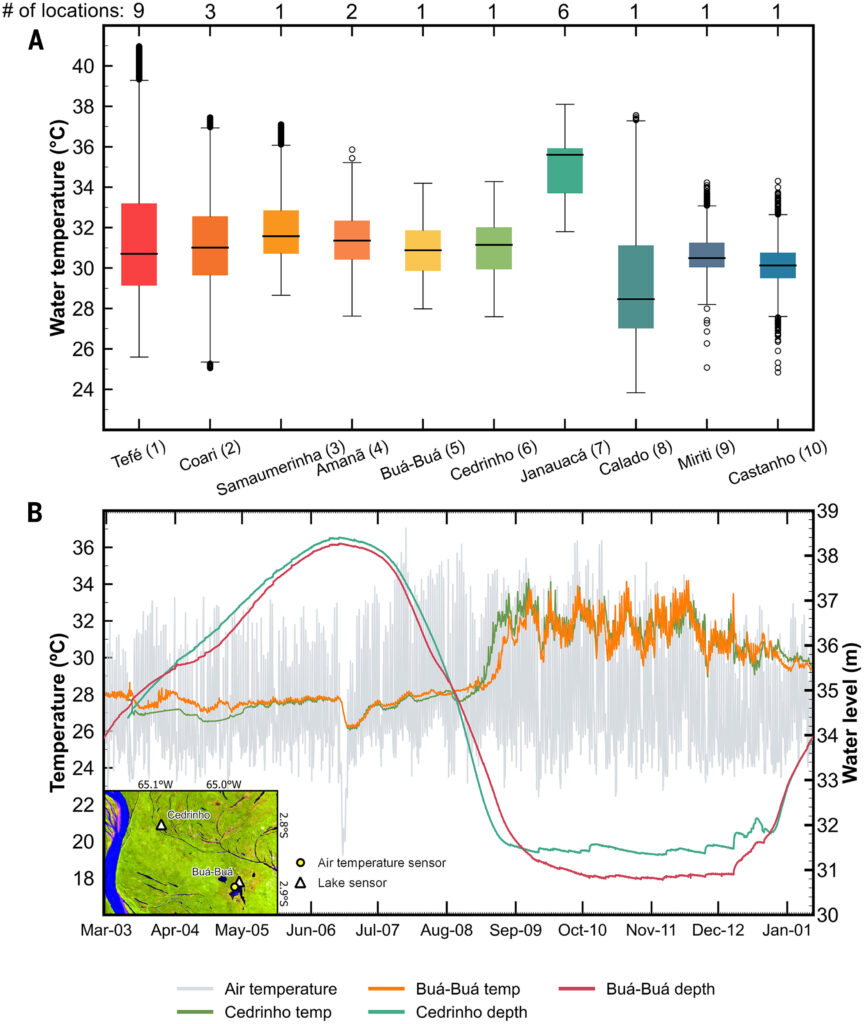 Figura 2. Aquecimento generalizado em lagos da Amazônia central. (A) Medições in situ mostram altas temperaturas da água em 10 lagos da Amazônia central durante a seca de 2023. O número de pontos de monitoramento por lago é indicado no topo, e a localização dos lagos é apresentada na Figura 4. (B) Níveis de água, temperatura da água e temperatura do ar (com resolução horária) em dois lagos de várzea da Amazônia central, localizados dentro da Reserva de Desenvolvimento Sustentável Mamirauá, próxima a Tefé. Os dados mostram aumentos nas temperaturas (tanto na magnitude quanto na variação diária) durante o período de águas baixas de 2023, quando a onda de calor ocorreu.