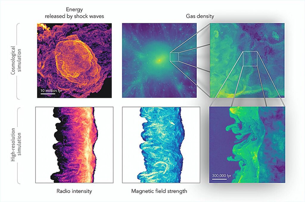A simulação mostra, à esquerda, a intensidade da radiação síncrotron emitida por elétrons acelerados em uma onda de choque — primeiro em 150 MHz e depois em 1,5 GHz. À direita, os mapas do índice espectral revelam como diferentes frequências expõem variações sutis na força do choque e no comportamento do campo magnético. As longas faixas horizontais surgem de filamentos magnéticos comprimidos, enquanto o choque “corrugado” altera o espectro próximo à frente de impacto. A seta branca destaca uma dessas regiões onde o campo magnético é intensificado pela compressão adiabática.
Créditos: Joseph Whittingham / Instituto Leibniz de Astrofísica de Potsdam