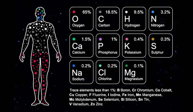 Infográfico mostrando a silhueta de um corpo humano preenchida por estrelas ao lado de uma tabela com os principais elementos químicos que compõem o corpo humano oxigênio, carbono, hidrogênio, nitrogênio, cálcio, fósforo, potássio, enxofre, sódio, cloro e magnésio destacando como todos se originaram nas estrelas.