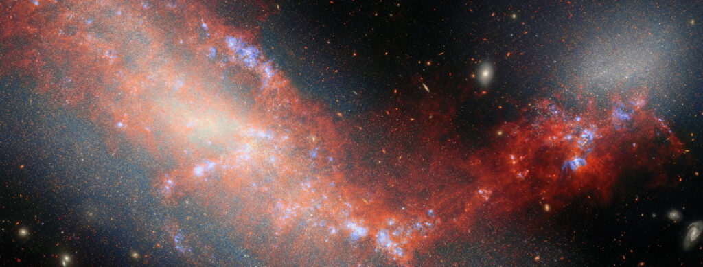 Imagem do Telescópio Espacial James Webb mostrando as galáxias anãs interagindo NGC 4490 e NGC 4485. NGC 4490 aparece à esquerda, com estrutura alongada e regiões avermelhadas de gás aquecido. NGC 4485 surge no canto superior direito como um brilho branco-azulado. Um fluxo brilhante de material vermelho conecta as duas galáxias, contendo pontos azulados de gás ionizado. Ao fundo, há um céu escuro pontuado por diversas galáxias distantes.