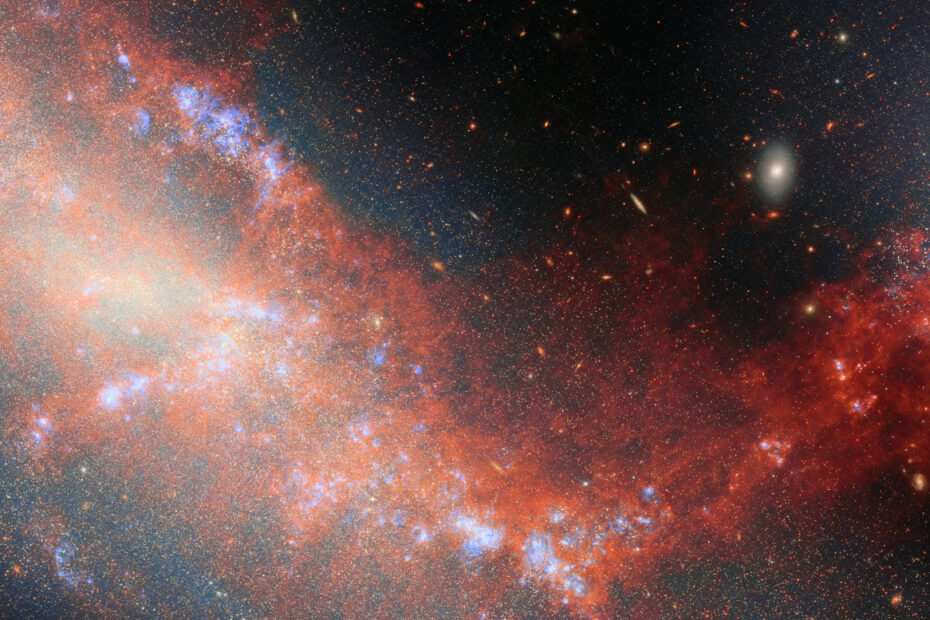 Imagem do Telescópio Espacial James Webb mostrando as galáxias anãs interagindo NGC 4490 e NGC 4485. NGC 4490 aparece à esquerda, com estrutura alongada e regiões avermelhadas de gás aquecido. NGC 4485 surge no canto superior direito como um brilho branco-azulado. Um fluxo brilhante de material vermelho conecta as duas galáxias, contendo pontos azulados de gás ionizado. Ao fundo, há um céu escuro pontuado por diversas galáxias distantes.