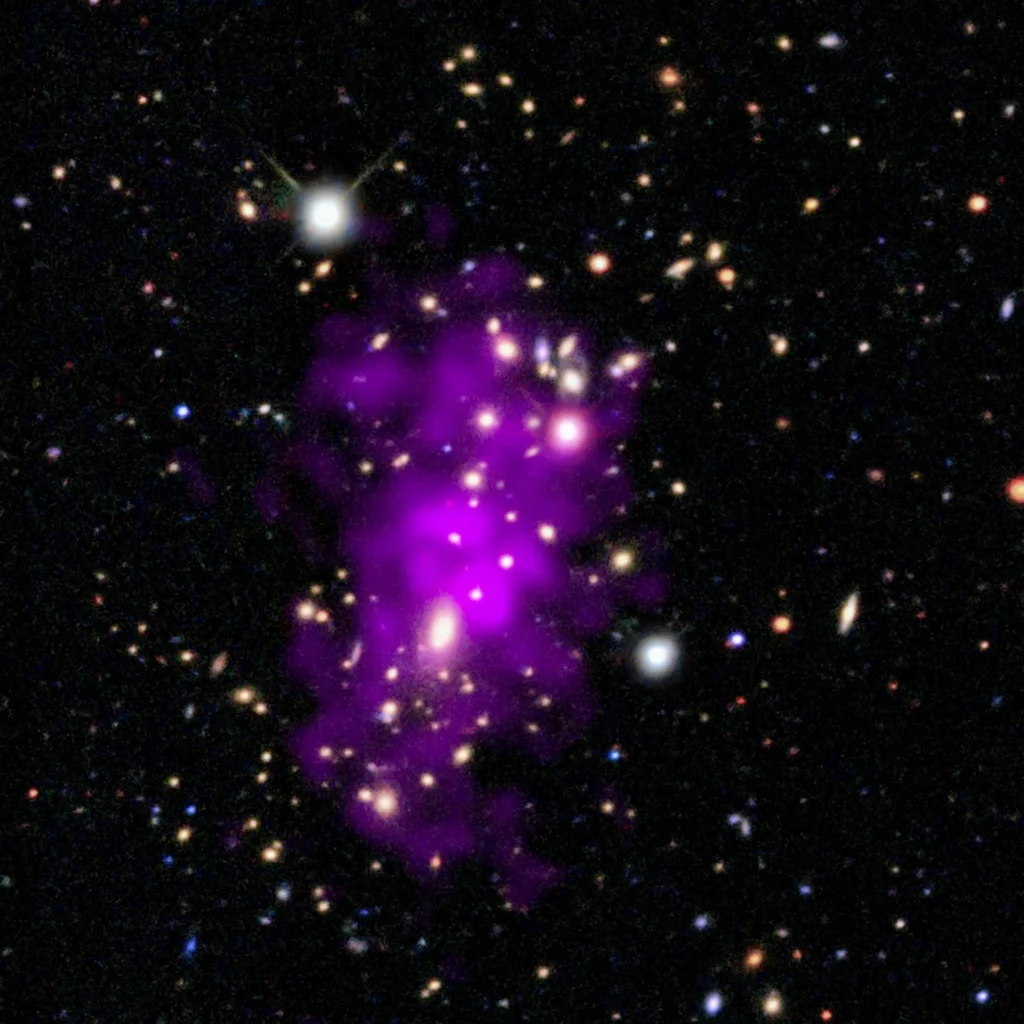 Imagem em raios X e &oacute;ptica do Champagne Cluster mostrando g&aacute;s superaquecido em tons de roxo detectado pelo Observat&oacute;rio Chandra e gal&aacute;xias observadas por levantamentos &oacute;pticos terrestres.