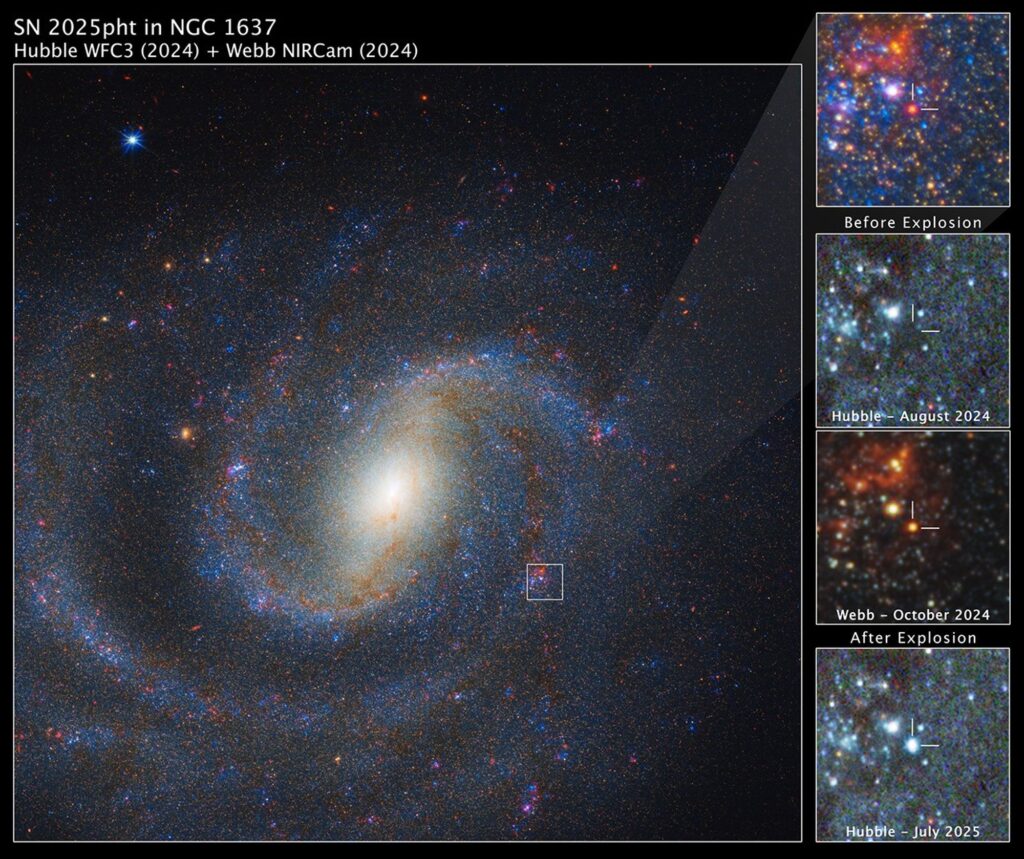 Imagem composta da galáxia espiral NGC 1637 obtida pelos telescópios James Webb Space Telescope e Hubble Space Telescope, mostrando a localização da supernova Supernova 2025pht e painéis comparando a estrela supergigante vermelha antes e depois da explosão.