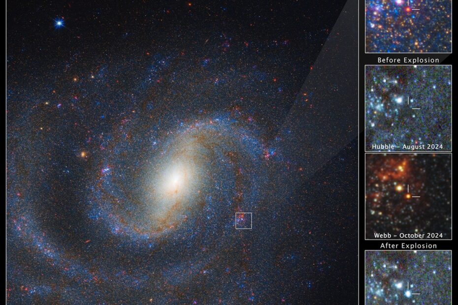 Imagem composta da galáxia espiral NGC 1637 obtida pelos telescópios James Webb Space Telescope e Hubble Space Telescope, mostrando a localização da supernova Supernova 2025pht e painéis comparando a estrela supergigante vermelha antes e depois da explosão.