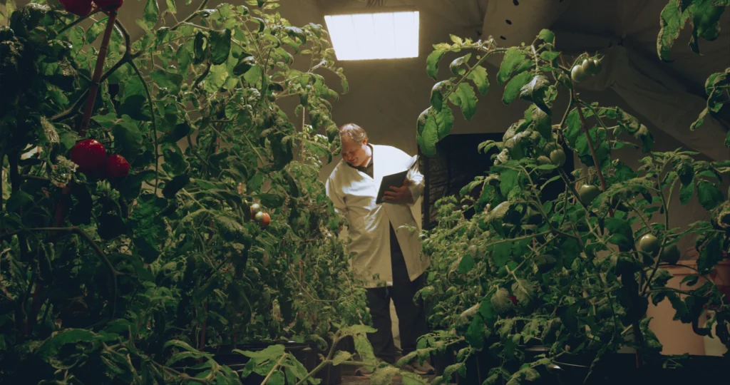 Dr. Andrew Palmer ao lado de plantas de tomate cultivadas em laboratório como parte de pesquisas sobre agricultura espacial para futuras missões à Lua e Marte.